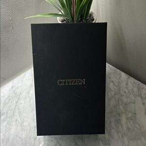 Citizen Elegant Stainless Steel Watch